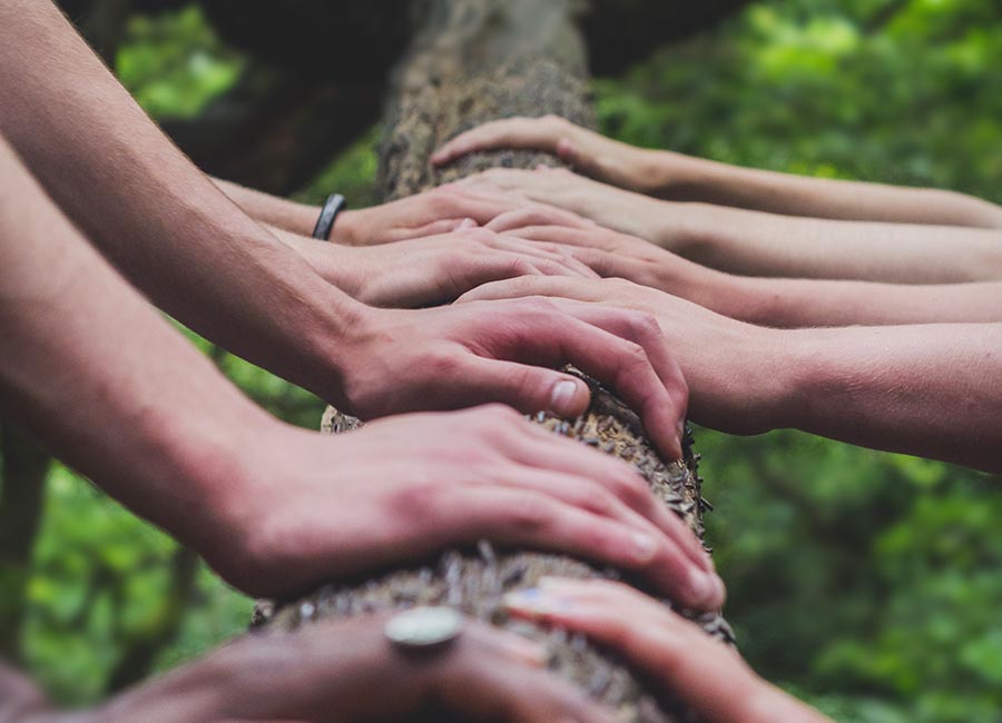 EarthShare National - About - Mission Vision Purpose