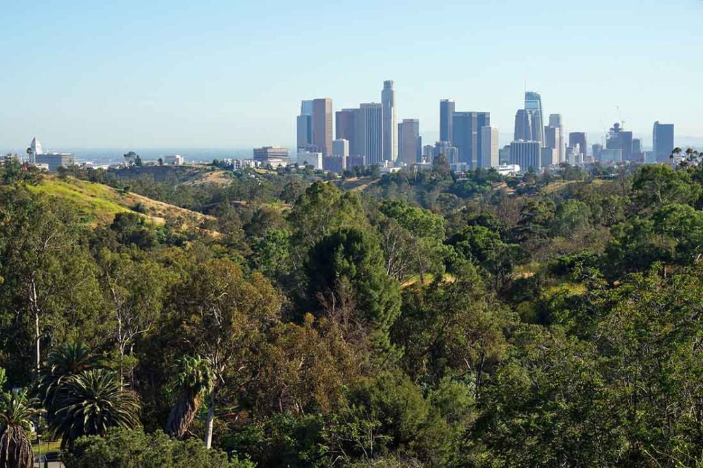 30x30-EarthShare-Forest-Restoration-Los-Angeles-Elysian-Park