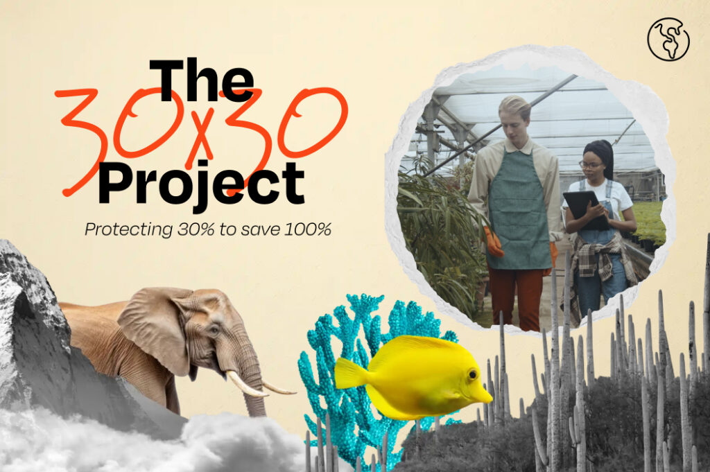 El título del Proyecto 30x30 con collage de imágenes