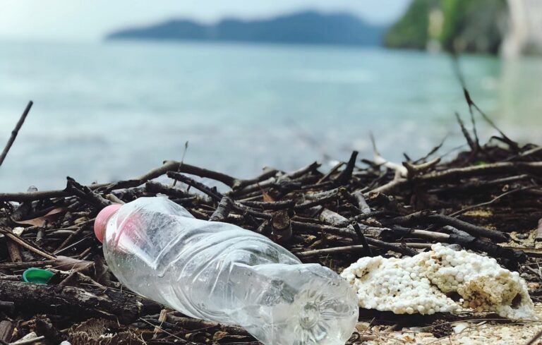 plastic bottle and Styrofoam litter on beach