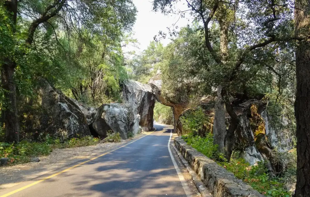 EARTHSHARE: Historia medioambiental e impacto de los parques nacionales de EE. UU. - Yosemite