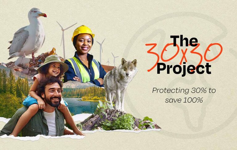 EarthShare 30x30 Banner 1100x700