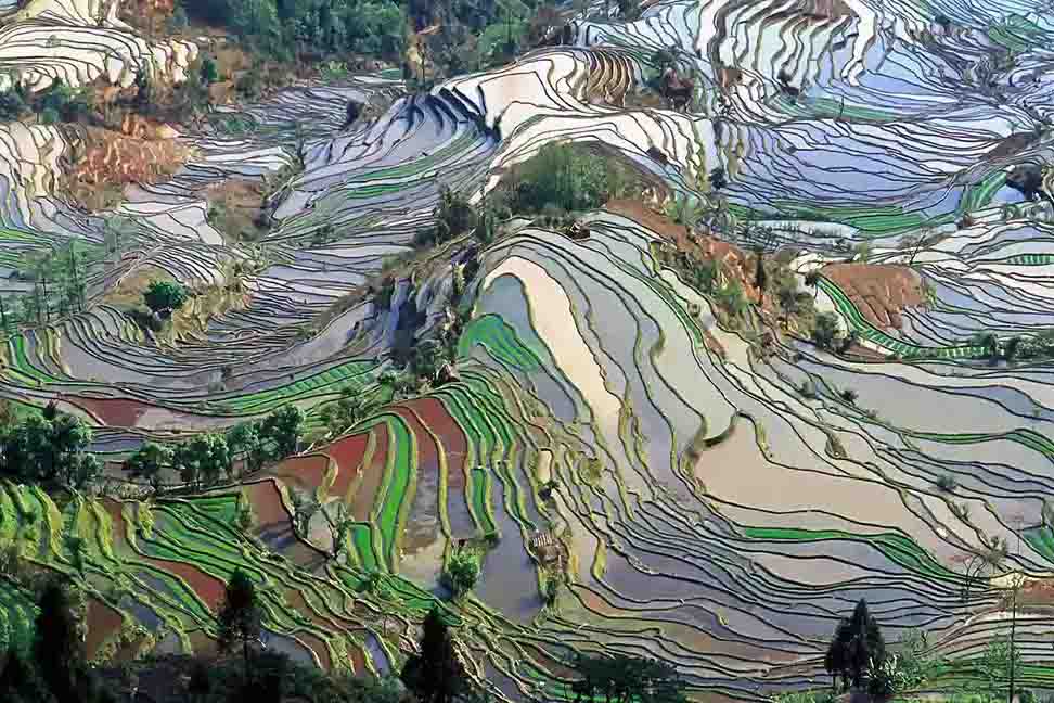 EarthShare 30x30 - Honghe Hani Rice Terraces
