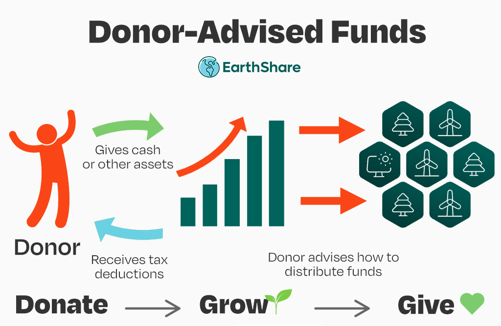 Fondos asesorados por donantes