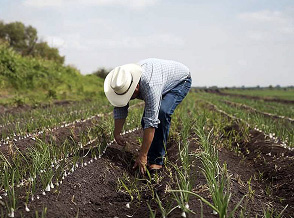EarthShare - Farm Crisis Series - Holding the Hand That Feeds Us - S 1