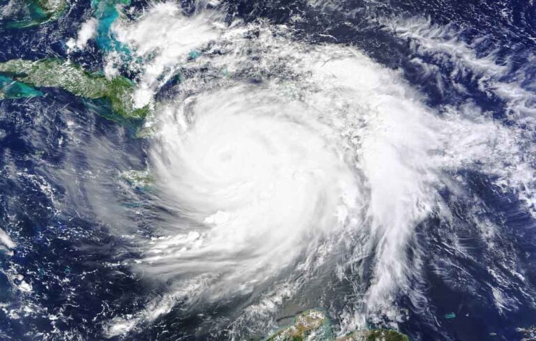 EarthShare New - 飓风、环境和6个协助恢复工作的非营利组织