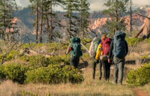 four people wearing backpacks hike through wooded park