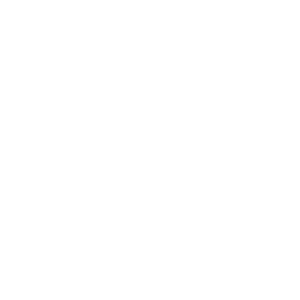 EarthShare Partnership Certification - Confluence Phlianthropy - 300