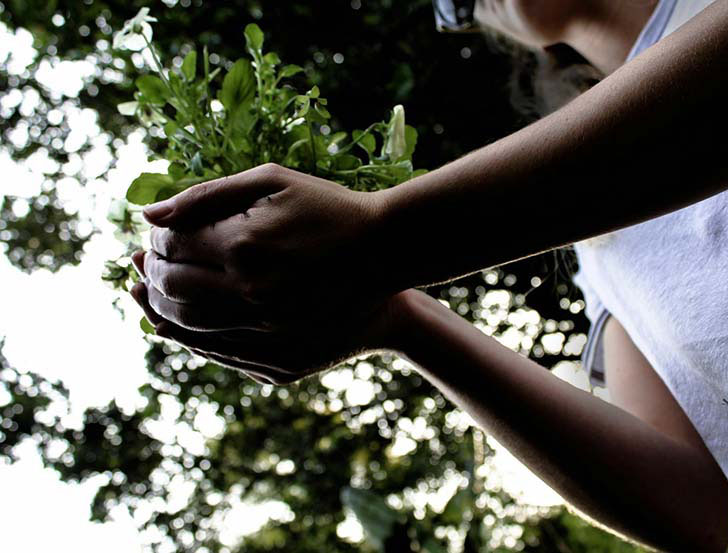 EarthShare - Planting Hands - Become a Member. 2jpg
