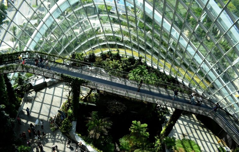building surrounded by greenery on interior and exterior