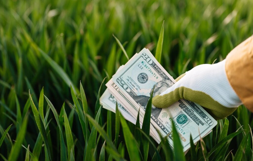 gloved hand holds money against grassy field