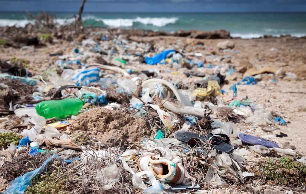 EarthShare - Quiz July 2022 - Ocean Pollution