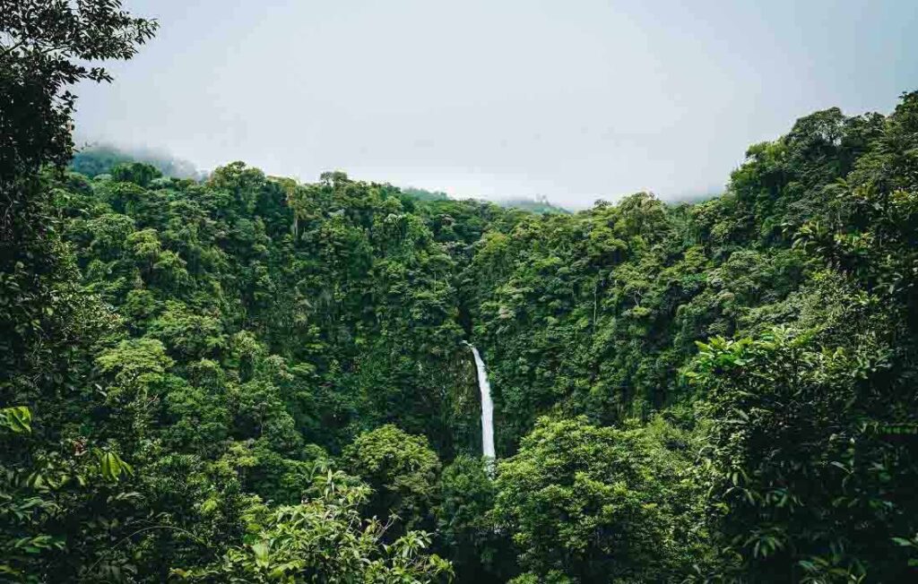 地球分享 - 2023年3月测验 - 植树造林