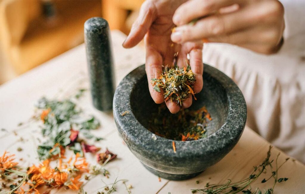 EarthShare Quiz - Medicinal Plants