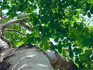 EarthShare 故事——实地笔记——我们忘记计算的钱