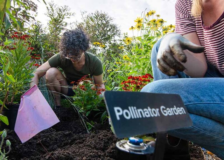 EarthShare - What We Offer - People Gardening