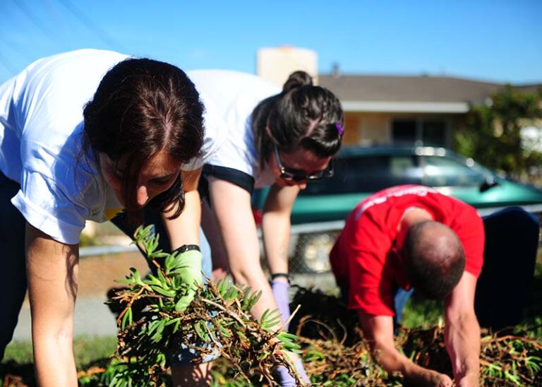 EarthShare - Workplace Giving Services for Nonprofits - Volunteers Planting Trees
