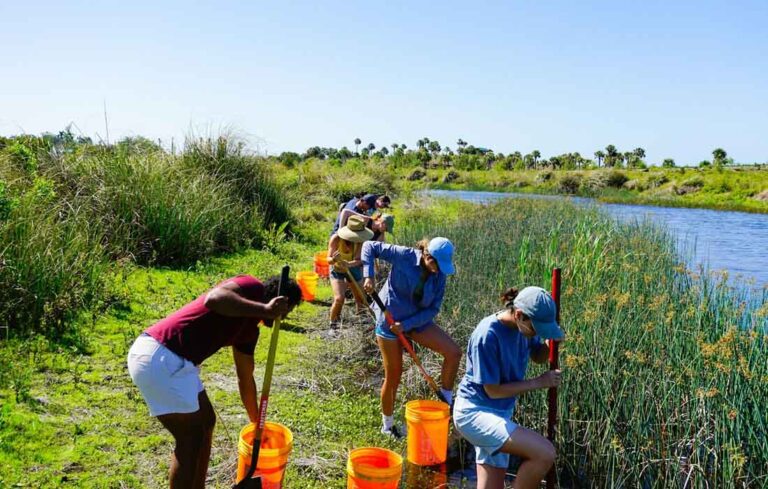 EarthShare_Blog_Your-Role-in-Conservation_people-with-shovels-dig-near-edge-of-river_1100x700