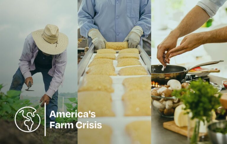 collage de trabajadores agrícolas con el logotipo de America's Farm Crisis