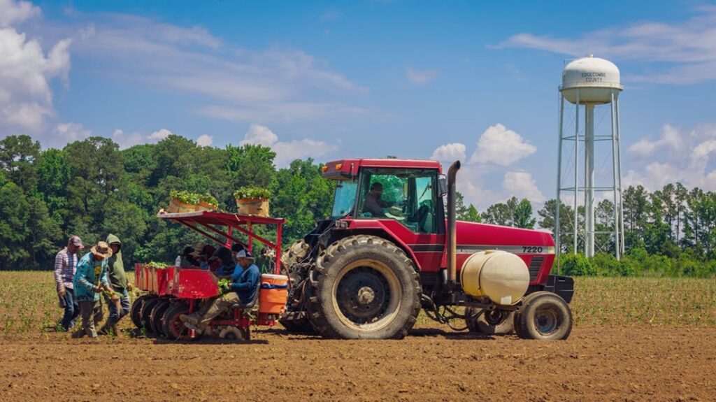 Farmer drives red tractor as farmhands ride on back