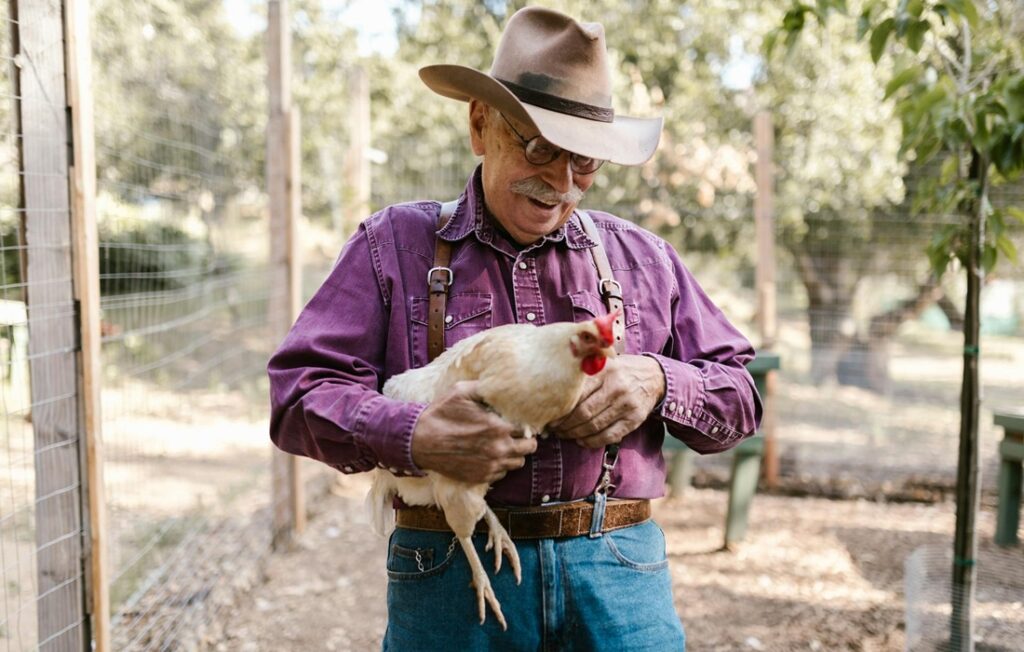 elderly male farmer smiling while holding a rooster