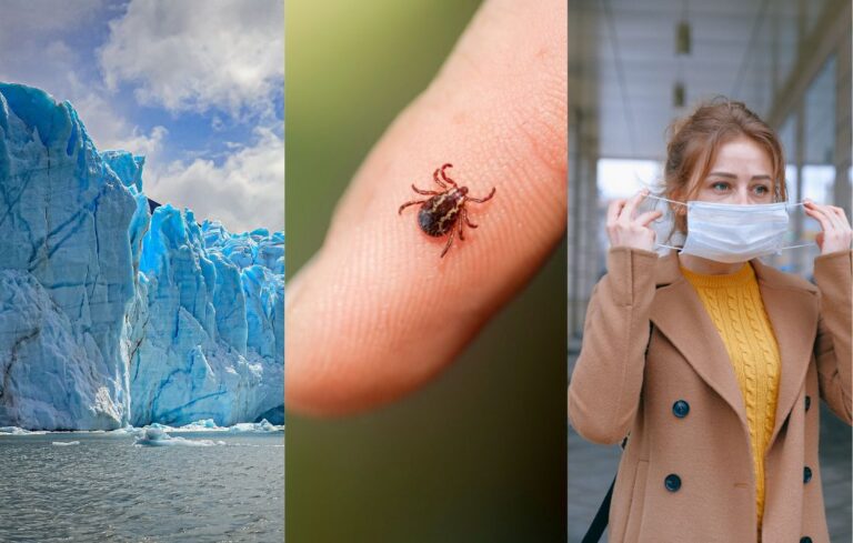 collage of images: glacier, tick on finger, and woman putting on medical mask