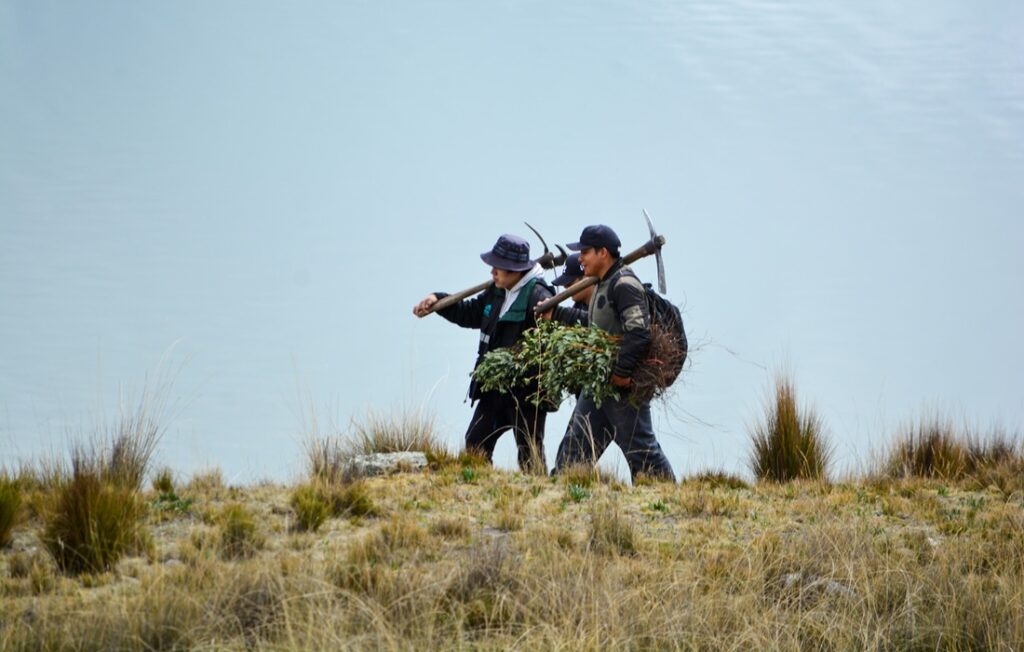 men walking through field with pickaxes