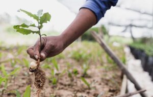 MetLife EarthShare - Climate Solutions- How Are People, Businesses, and Nonprofits Tackling Climate Change