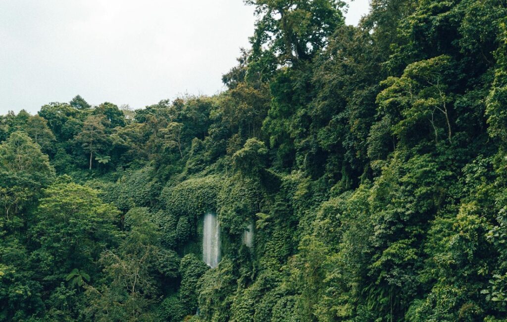 Waterfall in Brazil rainforest