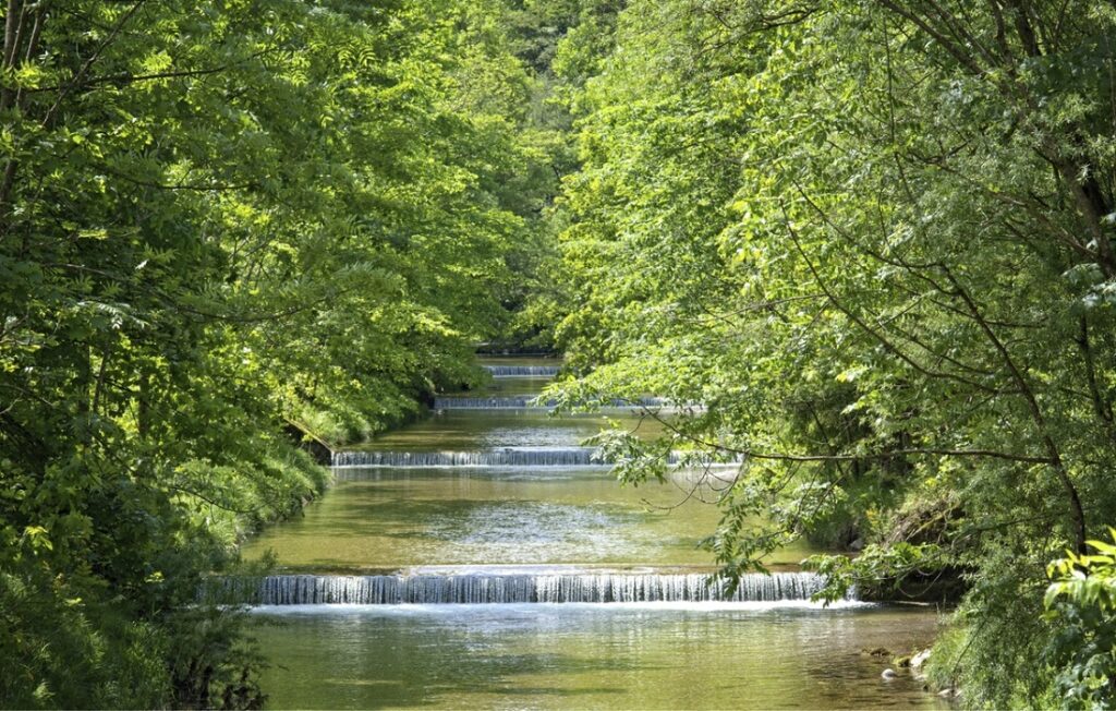 cascada en el bosque