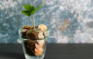 plant growing from jar of coins